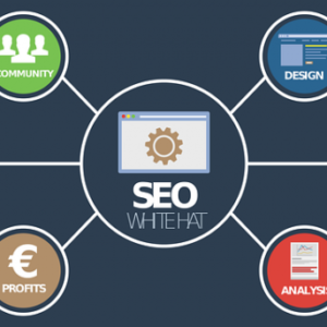 Sunshine Coast Website Ranking Search Engine Optimization Service has been launched