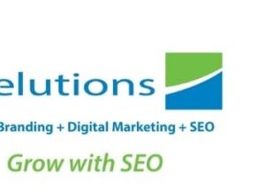 seelutions a Richmond SEO company is named best in Virginia