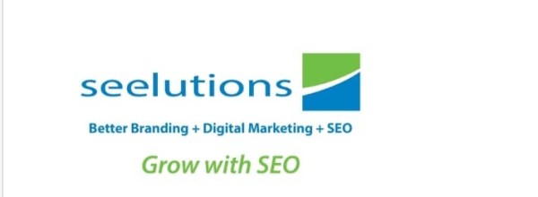 seelutions a Richmond SEO company is named best in Virginia