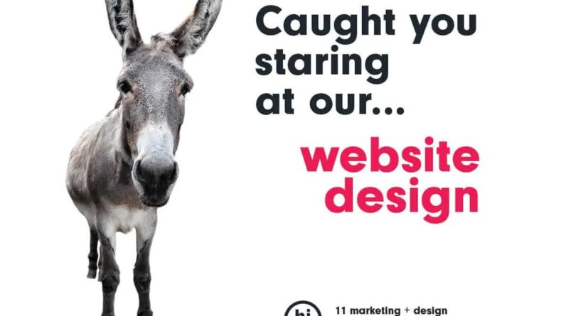 11 Marketing + Design, a web designer in Amarillo, TX, offers custom graphic solutions