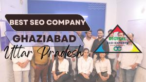 Ghaziabad UP Based SEO Company Explained The Right Way To Do Search Engine Optimization On A Website