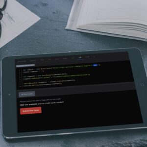 SEO Link Building Service