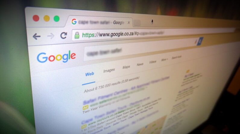 SEO Link Building Service