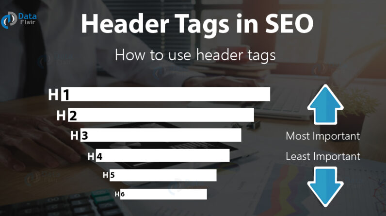 SEO Link Building Service