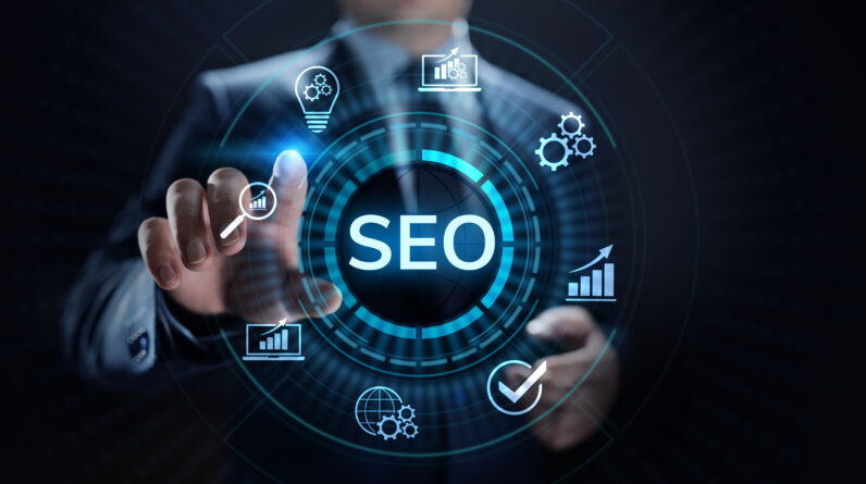 SEO Link Building Service