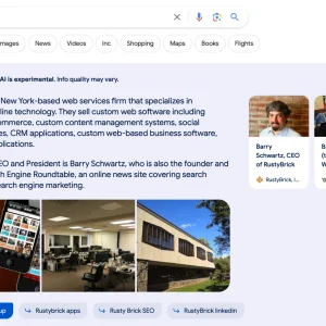 Google Sge Business Profile Data