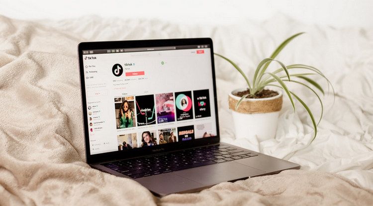 Blurry TikTok Logo on Top of Blurry Lines of Codes