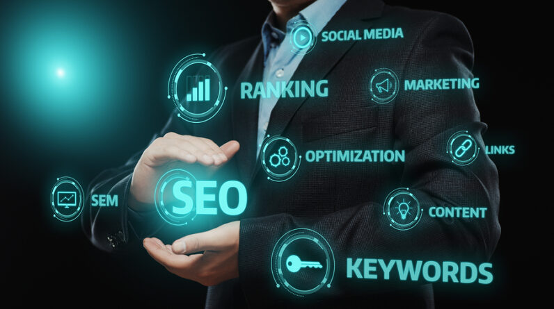 SEO Link Building Service