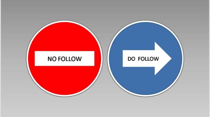 SEO Link Building Service