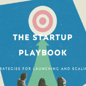 The Startup Playbook: Strategies for Launching and Scaling