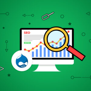 SEO Link Building Service