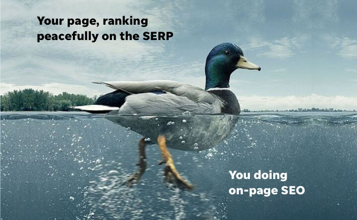 In today s digital world search engine optimization SEO plays a crucial role in driving organic traffic to your website There are two primary types of SEO strategies on page SEO and off page SEO In this comprehensive guide we will delve into the details of both strategies explain their significance and provide actionable tips to optimize your website for better search engine rankings What is On Page SEO On page SEO refers to the practice of optimizing various elements on your website to improve its visibility in search engine result pages SERPs It involves optimizing not only the content but also the HTML source code and the technical aspects of your website Keywords are a fundamental aspect of on page SEO Identifying and strategically placing relevant keywords throughout your content helps search engines understand the context and relevance of your web pages Conduct thorough keyword research to identify high volume low competition keywords that align with your target audience s search intent Title Tags and Meta Descriptions also contribute to on page SEO The title tag is an HTML element that specifies the title of a web page It should be concise descriptive and include your target keyword Similarly the meta description provides a summary of your page s content and should be compelling enough to encourage users to click through from the SERPs Another component of on page optimization is URL structure Ensure your URLs are descriptive short and keyword rich Use hyphens to separate words and avoid using numbers or irrelevant characters On Page Content Optimization Your website s content is the backbone of on page SEO Here are some key factors to consider Keyword Density While it s essential to include keywords in your content excessive keyword stuffing can lead to penalties Maintain a natural keyword density typically between 1 2 Headings Organize your content using heading tags H1 to H6 The H1 tag should contain your target keyword and serve as the main heading of your page Subheadings H2 H3 etc should also include relevant keywords and help structure your content hierarchy Content Length Aim for comprehensive well researched content that provides value to your audience Longer articles tend to perform better in search rankings but prioritize quality over quantity Image Optimization Optimize images by adding descriptive alt tags that include relevant keywords Compress images to reduce file size and enhance page load speed Off Page SEO and Link Building While on page SEO focuses on optimizing your website s internal elements off page SEO revolves around building your website s credibility and authority from external sources The most crucial aspect of off page SEO is link building Backlinks are links from other websites that point to your site Search engines consider backlinks as votes of confidence indicating that your content is valuable and trustworthy Focus on acquiring high quality backlinks from authoritative websites within your industry through methods like guest blogging influencer outreach and creating link worthy content Social Media Engagement Building a strong social media presence can indirectly improve your off page SEO Engage with your audience share your content and encourage social sharing to increase visibility and attract potential backlinks Monitor Analyze and Adapt SEO is an ongoing process and it s crucial to monitor your efforts analyze performance and adapt your strategies as needed Regularly review your website s analytics to gain insights into user behavior bounce rates organic traffic and keyword rankings Utilize tools such as Google Analytics and Google Search Console to track key performance metrics Adjust your content on page optimization and off page strategies based on the data you gather to continually improve your website s search engine rankings In conclusion on page and off page SEO are both vital components of any successful optimization strategy By optimizing your website s content structure and technical aspects on page SEO and building a strong backlink profile and online presence off page SEO you can improve your website s visibility attract more organic traffic and ultimately achieve better search engine rankings Implement the actionable tips mentioned in this comprehensive guide and regularly track your progress to ensure long term success in the ever evolving world of SEO