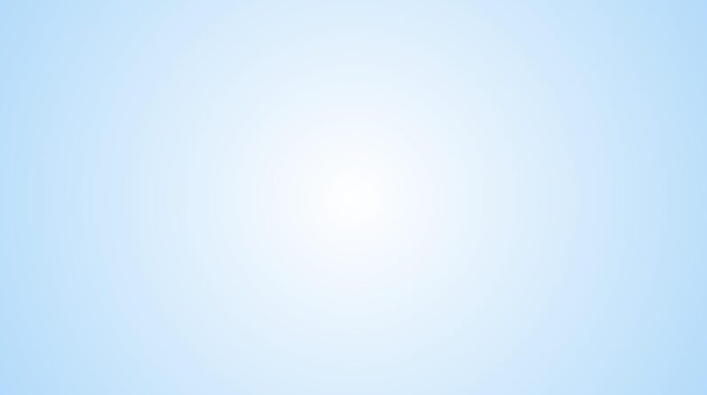 SEO Link Building Service