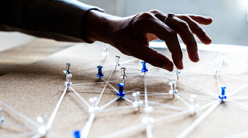 SEO Link Building Service