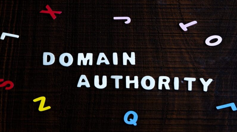 SEO Link Building Service