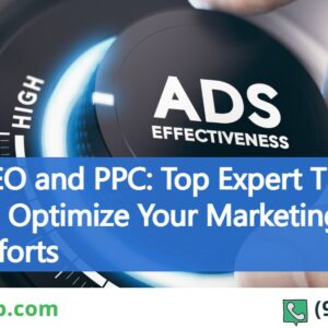 SEO Link Building Service