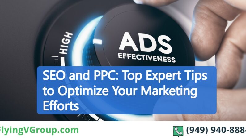 SEO Link Building Service