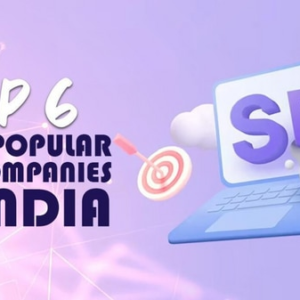 Top 6 Most Popular SEO Companies In India