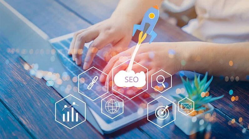 SEO Link Building Service