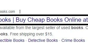 a software developer working on a computer system.