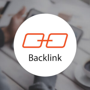 SEO Link Building Service