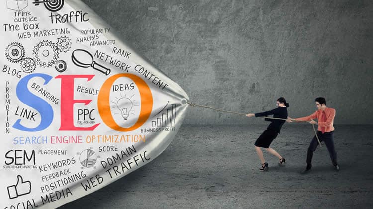 SEO Link Building Service