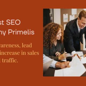 SEO Link Building Service