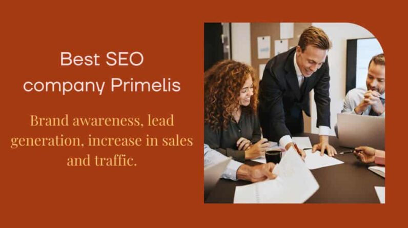 SEO Link Building Service