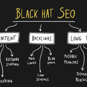 SEO Link Building Service