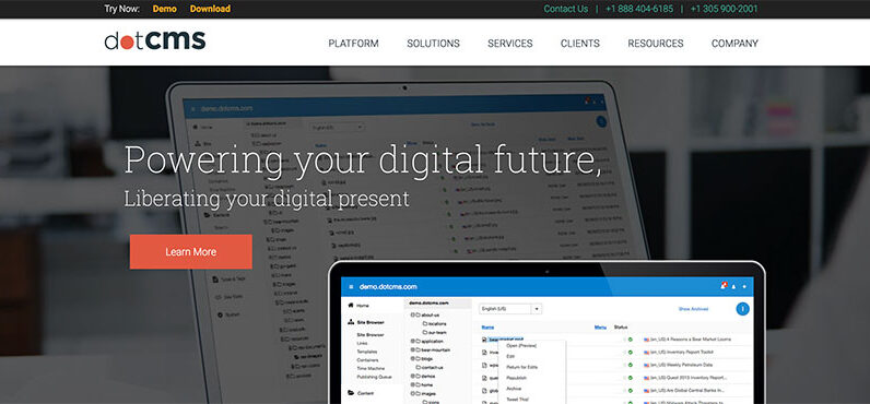 SEO Link Building Service