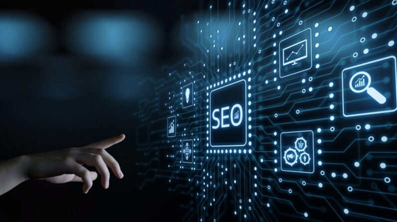 SEO Link Building Service