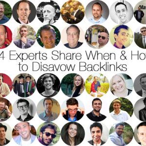 SEO Link Building Service