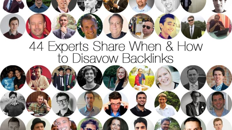 SEO Link Building Service