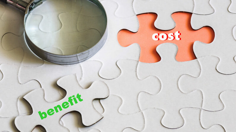 Don't choose cheap TLDs, avoid spam risks