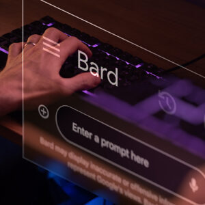 A glance at the world of human formation