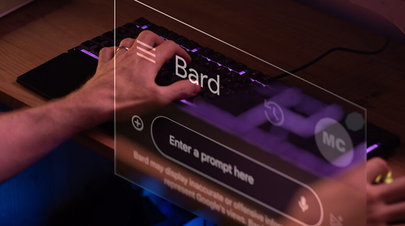 A glance at the world of human formation