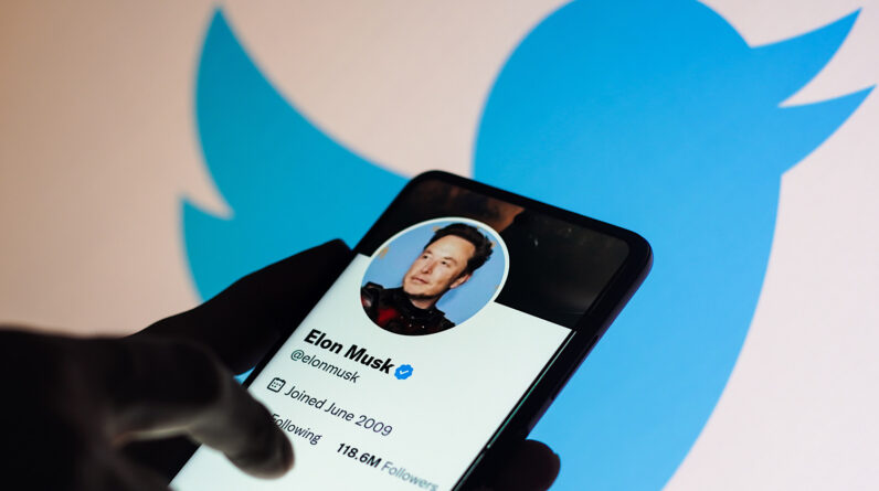 Twitter's Google ranking plummets after Elon Musk's actions