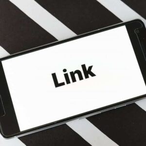 SEO Link Building Service