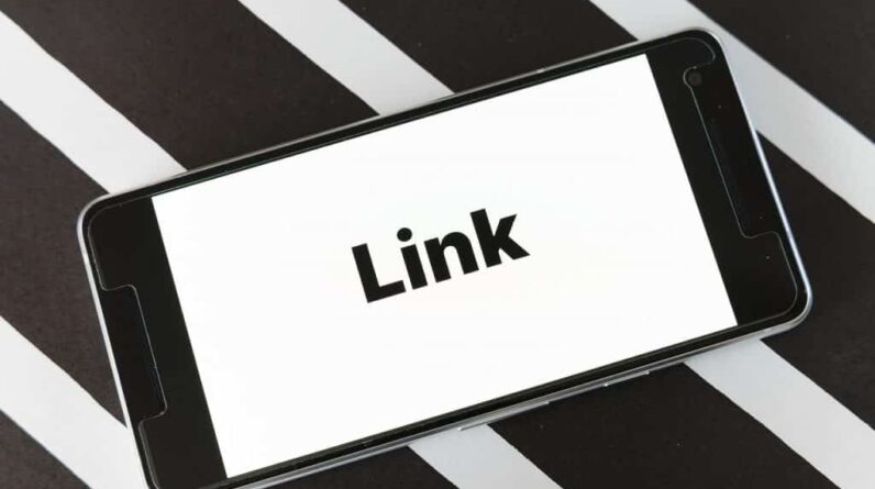 SEO Link Building Service