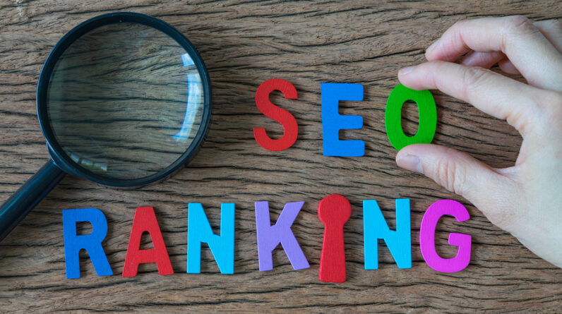SEO Link Building Service