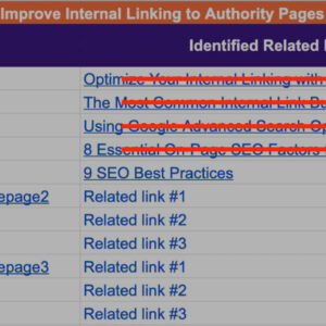 SEO Link Building Service