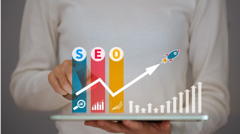 SEO Link Building Service