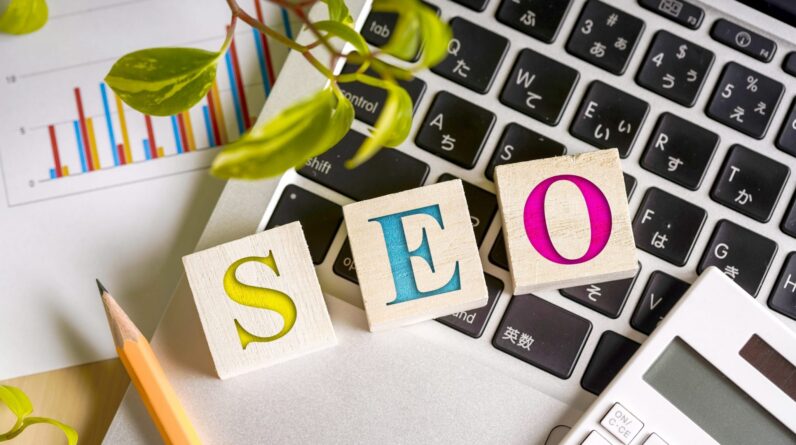 SEO Link Building Service