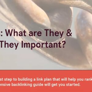 SEO Link Building Service