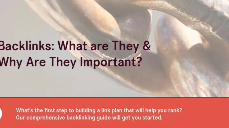 SEO Link Building Service