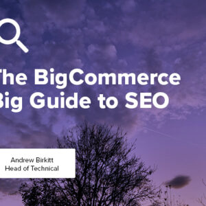 BigCommerce SEO is crucial for online businesses looking to drive organic traffic and improve their search engine rankings In this comprehensive guide we will explore various strategies and techniques to optimize your BigCommerce store for search engines 1 Understanding BigCommerce SEO SEO stands for Search Engine Optimization It involves optimizing your website and its content to rank higher in search engine result pages SERPs BigCommerce is a popular e commerce platform that provides built in features and flexibility to implement effective SEO strategies 2 Keyword Research and Optimization Keyword research is the foundation of any SEO strategy Start by identifying relevant and high volume keywords related to your products or services Utilize tools such as Google Keyword Planner SEMrush or Moz s Keyword Explorer to find valuable keywords Once you have a list of keywords integrate them strategically throughout your BigCommerce store Include relevant keywords in your product titles descriptions URL slugs header tags meta tags and image alt tags However avoid keyword stuffing as this can have a negative impact on your SEO efforts 3 On Page Optimization for BigCommerce Optimizing your on page elements is vital for better search engine visibility Pay attention to the following aspects 3 1 Meta Tags Create unique and compelling meta titles and descriptions for each product page These tags appear in search engine results and play a crucial role in attracting potential customers to click on your listings 3 2 URL Structure Use clean and descriptive URLs that include relevant keywords BigCommerce allows you to customize your URL slugs ensuring they are concise and related to the product or category 3 3 Header Tags Organize your content using header tags H1 H2 H3 etc Properly structuring your headings not only improves readability but also helps search engines understand the hierarchy and relevance of your content 3 4 Image Optimization Optimize your product images by adding descriptive file names and alt tags This helps search engines understand the context of your images and improves their visibility in image search results 3 5 Page Loading Speed Ensure your BigCommerce store loads quickly on both desktop and mobile devices Users and search engines favor fast loading websites Compress images minimize CSS and JavaScript files and leverage browser caching to enhance your site s speed 4 Content Marketing for BigCommerce SEO Creating high quality and engaging content is essential for BigCommerce SEO success Consider the following content marketing strategies 4 1 Blogging Create a blog on your BigCommerce store and regularly publish informative and relevant content Blogging allows you to target long tail keywords attract organic traffic and establish yourself as an industry expert 4 2 Product Descriptions Write unique and compelling product descriptions that highlight the features benefits and unique selling points of your products Avoid using manufacturer provided descriptions and strive for originality 4 3 User Generated Content Encourage customers to leave reviews and testimonials for your products User generated content not only improves your credibility but also provides search engines with fresh and relevant information about your products 4 4 Video Content Utilize videos to showcase your products or provide tutorials Video content has become increasingly popular and can help improve your search visibility and user engagement 5 Off Page SEO for BigCommerce Off page SEO refers to activities outside of your website that can improve its visibility and reputation Consider the following off page optimization techniques 5 1 Link Building Build high quality backlinks to your BigCommerce store Focus on acquiring links from authoritative and relevant websites within your industry Guest blogging influencer collaborations and content promotion are some effective link building strategies 5 2 Social Media Engagement Develop a strong social media presence and actively engage with your audience Sharing your products blog posts and other valuable content on social media can drive traffic to your BigCommerce store and improve your brand exposure 5 3 Online Directories and Listings List your BigCommerce store in relevant online directories and local listings This helps improve your online visibility and increases the chances of being found by potential customers 6 Monitoring and Analytics Regularly monitor your BigCommerce store s performance using analytics tools like Google Analytics and BigCommerce Analytics Keep an eye on your organic search traffic keyword rankings conversion rates and other relevant metrics Analyzing this data helps identify areas for improvement and enables you to make data driven SEO decisions 7 Mobile Optimization With the increasing use of mobile devices for online shopping optimizing your BigCommerce store for mobile users is crucial Ensure your website is mobile responsive loads quickly and provides a seamless user experience across different devices 8 Take Advantage of BigCommerce SEO Apps and Plugins BigCommerce offers various SEO apps and plugins that can enhance your SEO efforts These tools provide features like automated meta tags XML sitemaps structured data markup and more Explore the BigCommerce App Marketplace to find the right SEO tools for your store Implementing effective SEO strategies is essential for the success of your BigCommerce store By following the techniques mentioned in this exhaustive guide you can improve your search engine visibility attract targeted organic traffic and boost your online sales Remember SEO is an ongoing process so continue to monitor your performance adapt to algorithm updates and refine your strategies to stay ahead of the competition