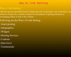 SEO Link Building Service