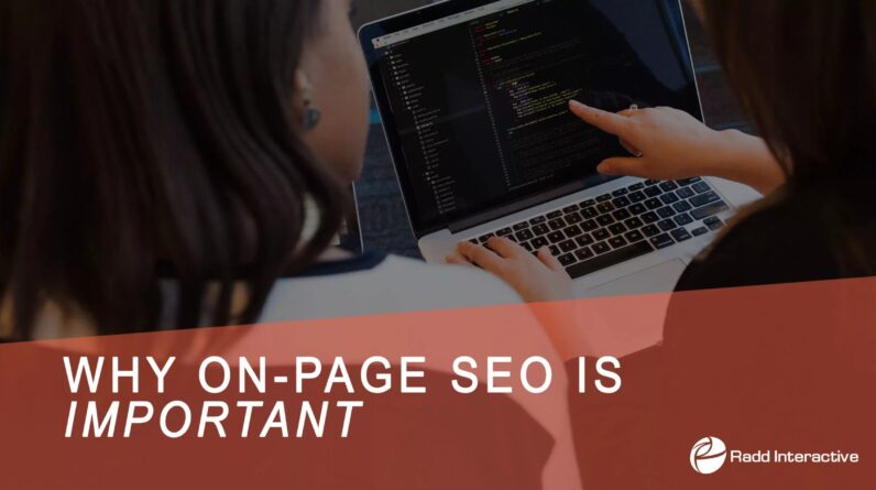 SEO Link Building Service