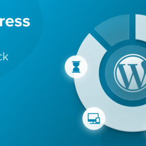 SEO Link Building Service