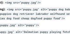 Is Alt Text A Ranking Factor For Google Image Search?